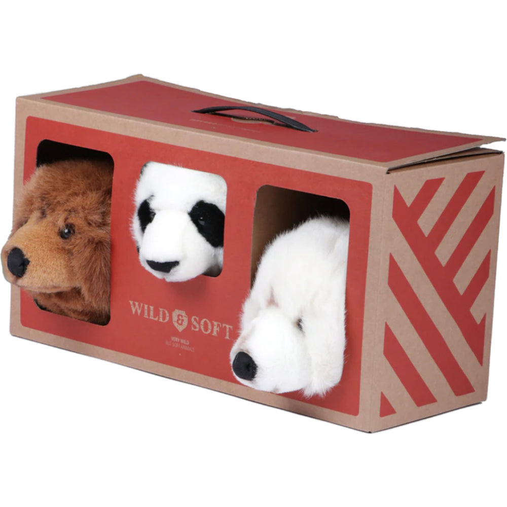 WILD & SOFT Bear Box