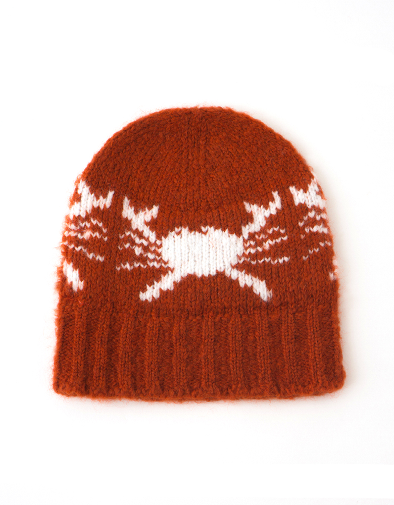 bobo choses beanie