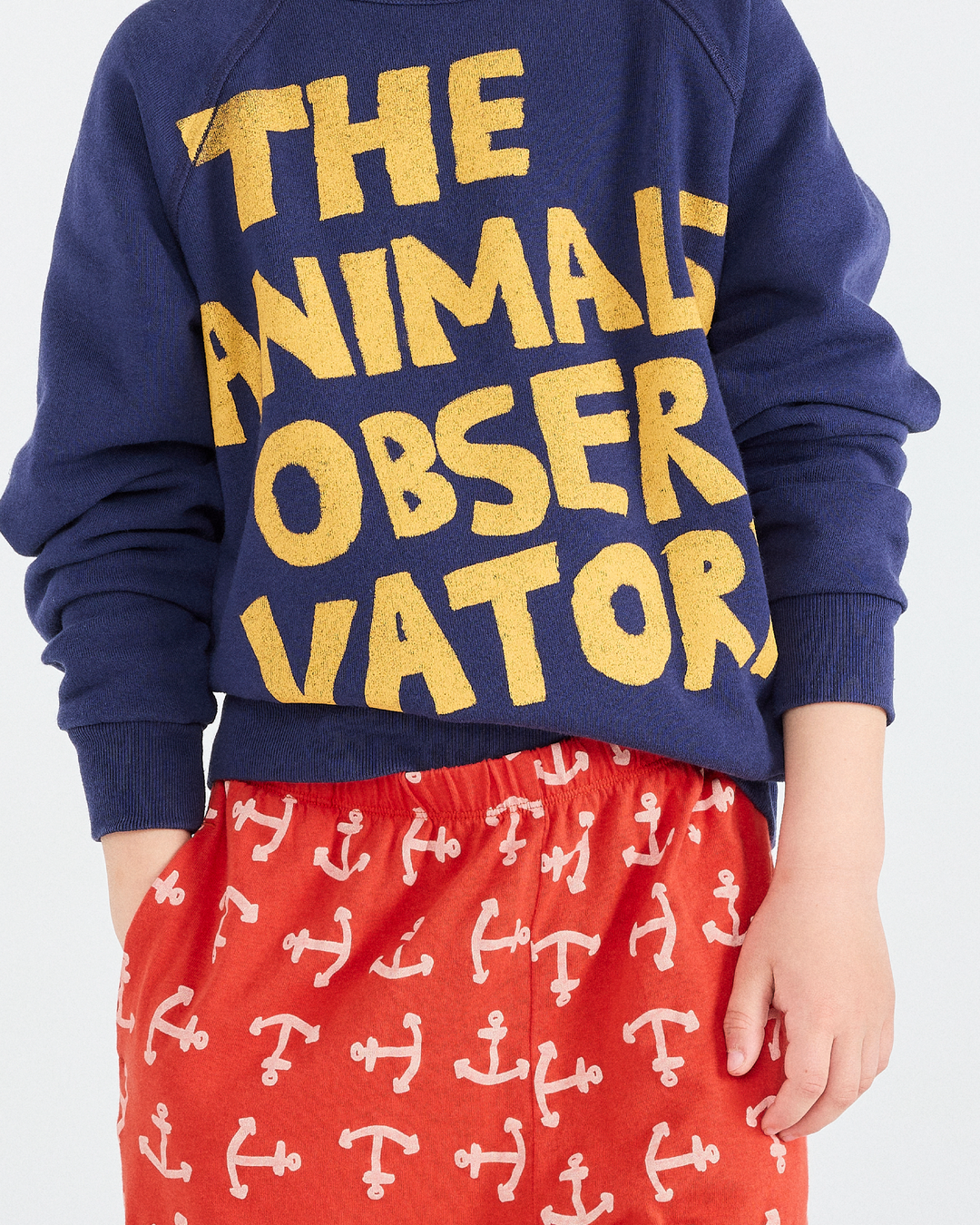 The Animals Observatory