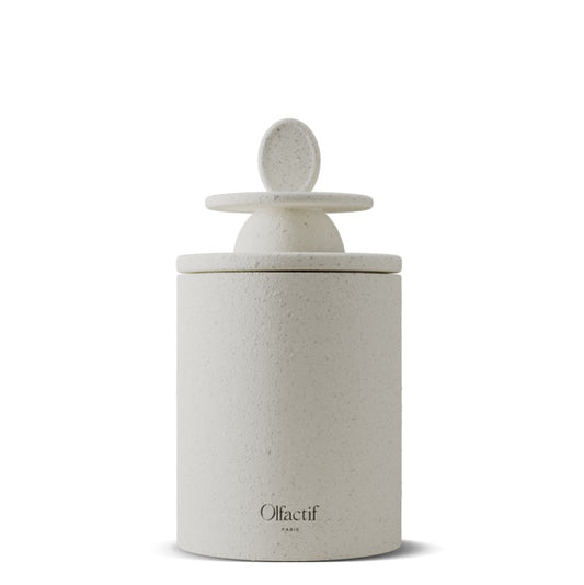 Astro Sign Candle - Gamini | Wild Berries