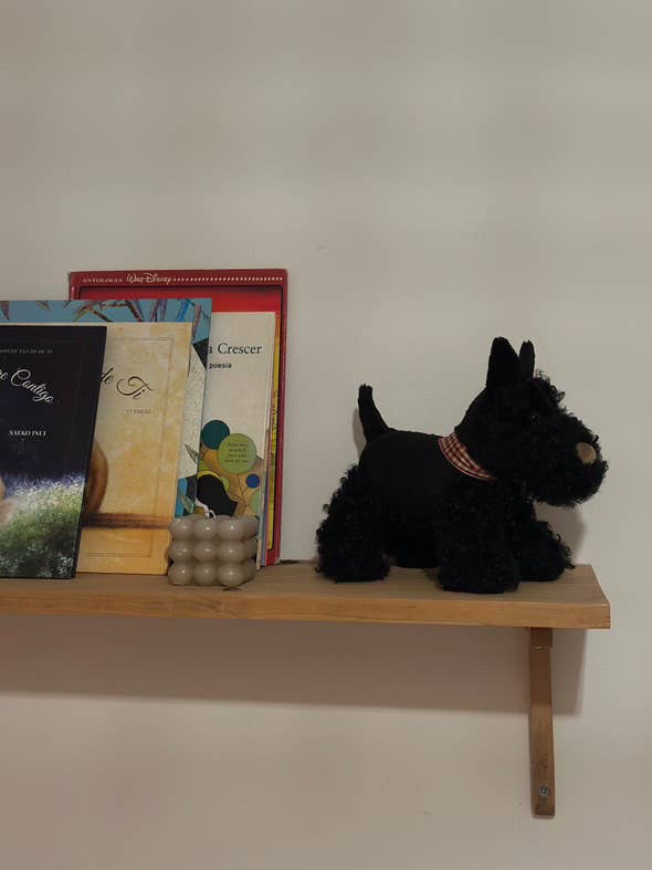 Plush Walter Stuffed Dog