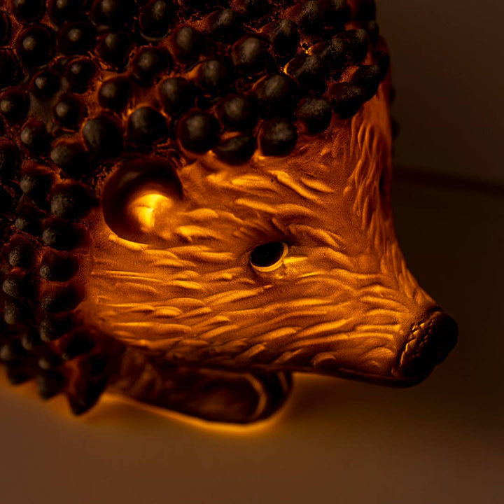 Hedgehog w/ Plug