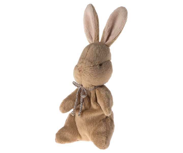 My First Bunny, Brown