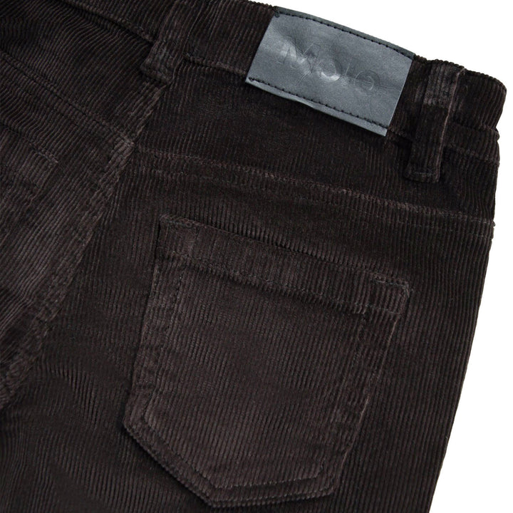 MOLO Andy Pants - Dark Cocoa