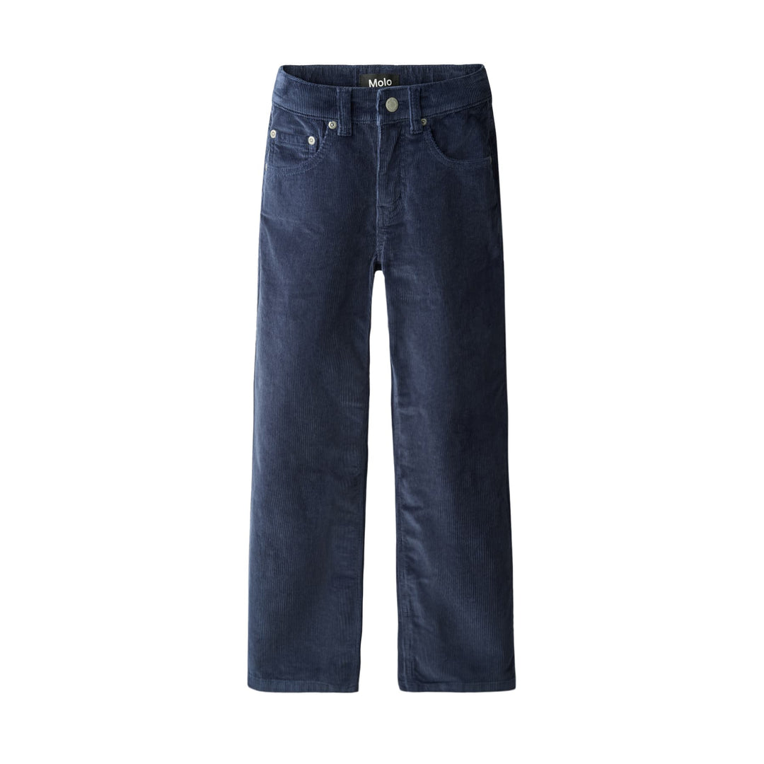 Andy Woven Pants in Infinity