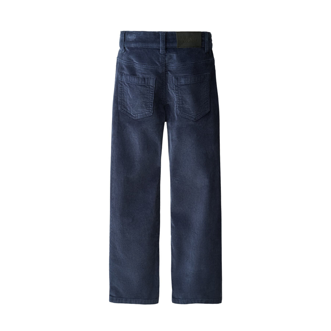 Andy Woven Pants in Infinity
