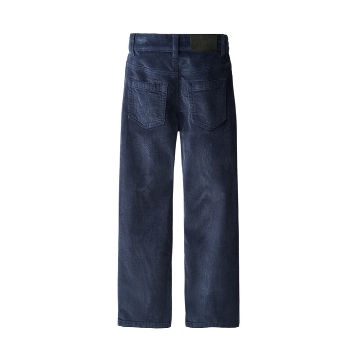 Andy Woven Pants in Infinity