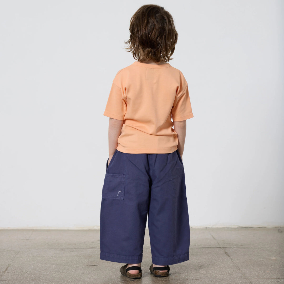 The Balloon Pant In Powder Blue