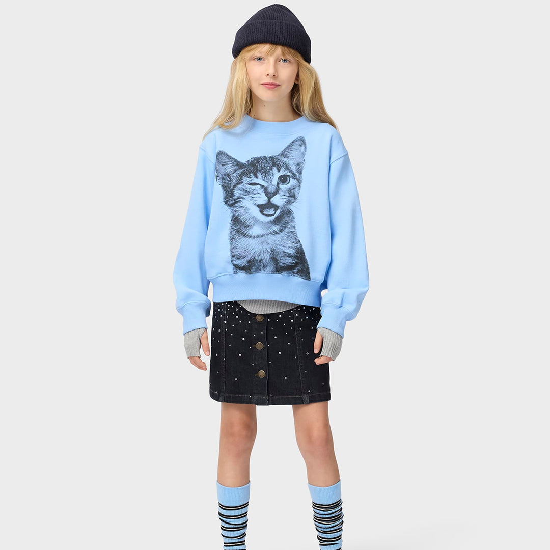 Marge Sweatshirt in Blue Kitten