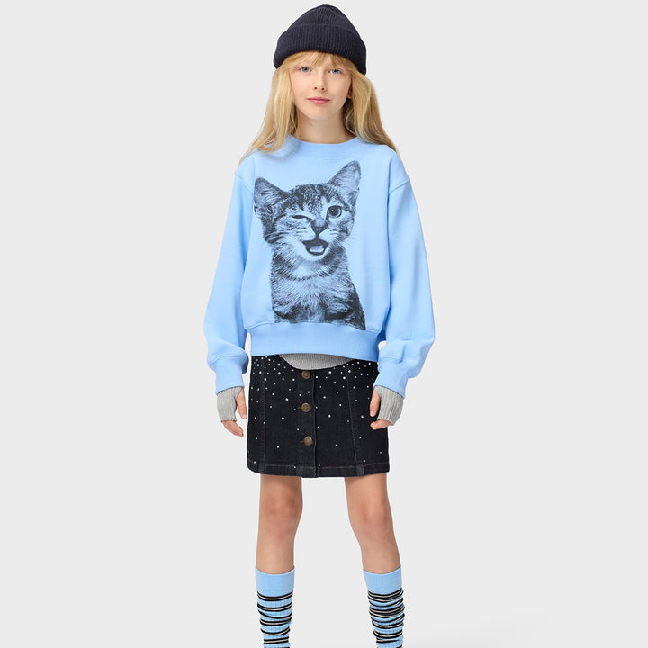 Marge Sweatshirt in Blue Kitten