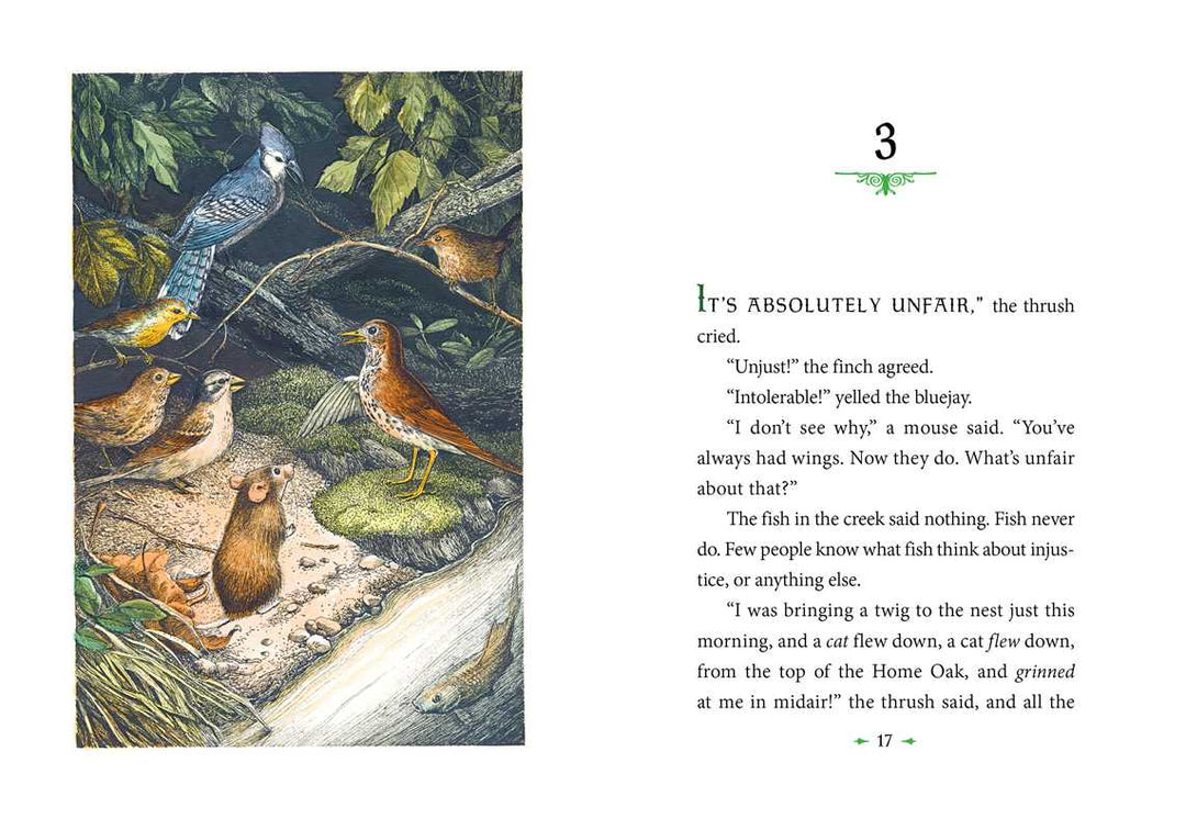 Catwings by Ursula  K. Le Guin: Hardcover; 48 pages / English