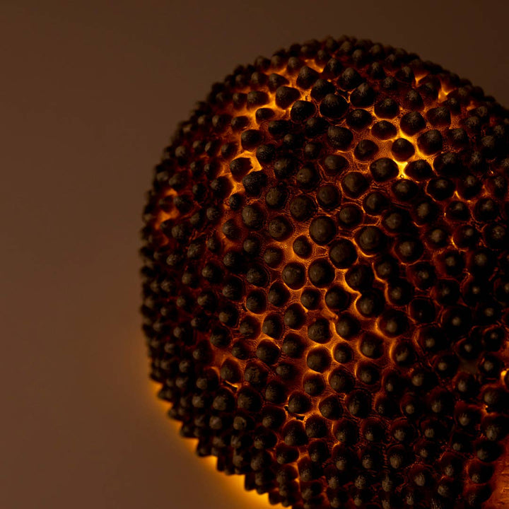Hedgehog w/ Plug