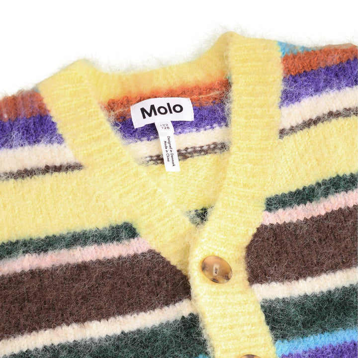 Brutus Cardigan in Gemstone Stripe