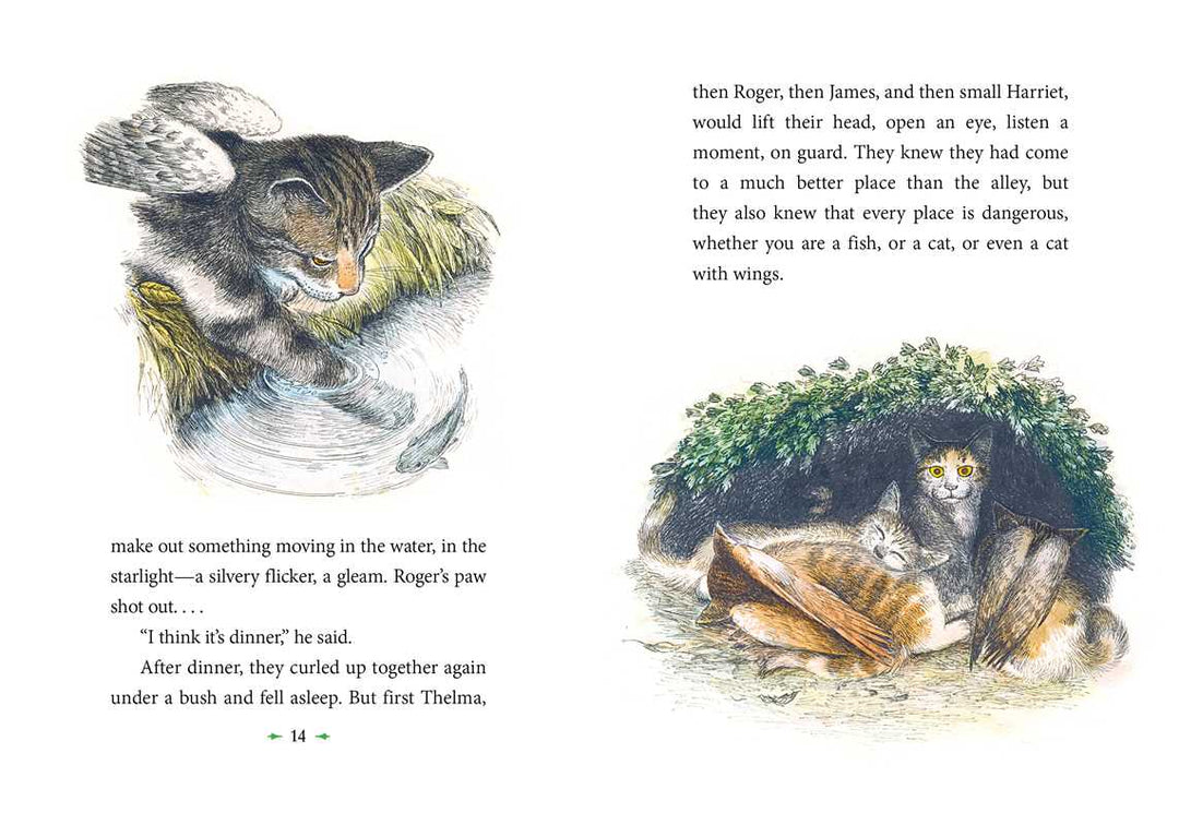 Catwings by Ursula  K. Le Guin: Hardcover; 48 pages / English