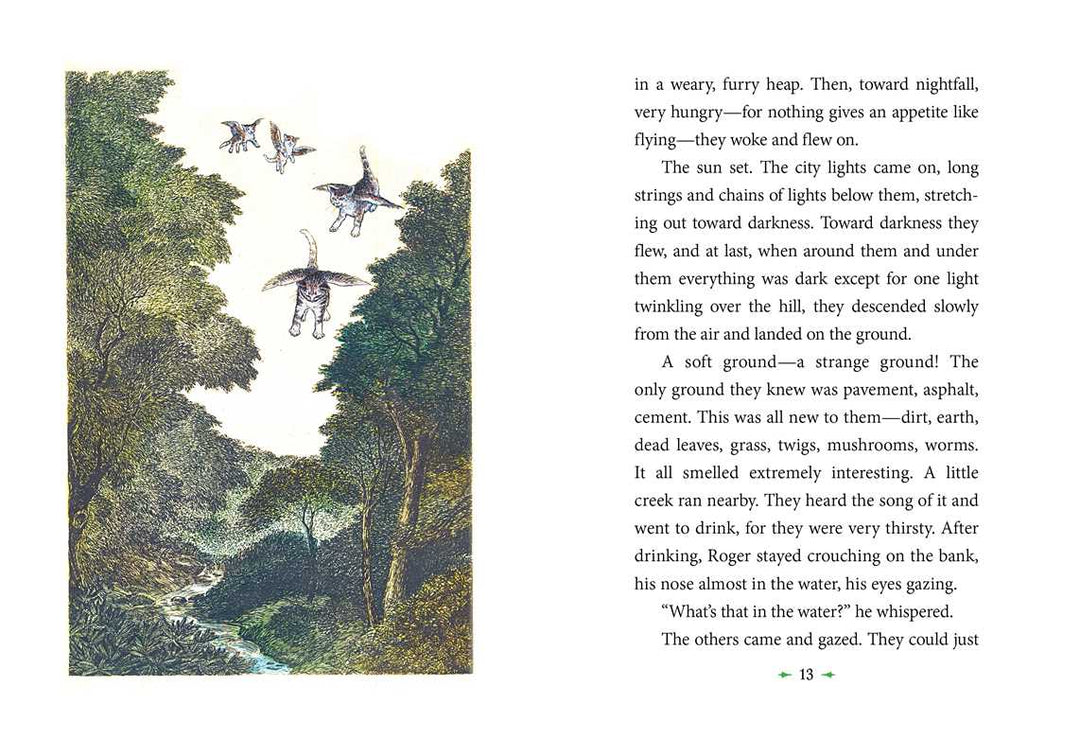 Catwings by Ursula  K. Le Guin: Hardcover; 48 pages / English