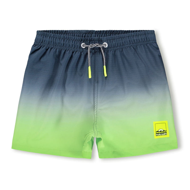 Niko Boardies in Screen Fade