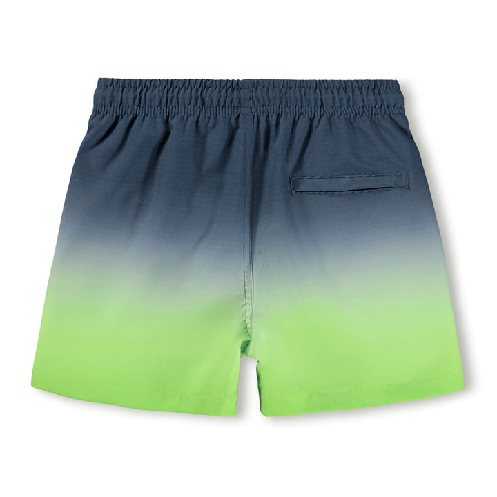 Niko Boardies in Screen Fade