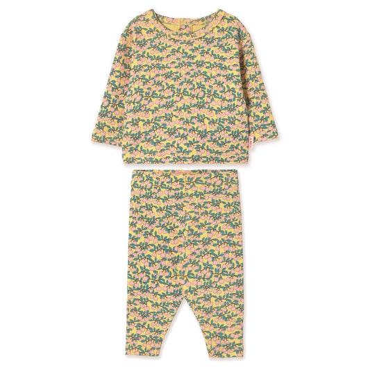 TINY COTTONS Mini Apples Rib Baby Set - Mellow Yellow