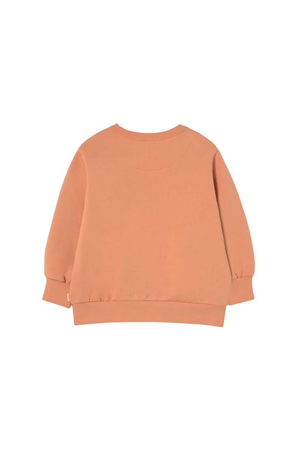 Flowers Eyes Graphic Sweatshirt in Light Rust