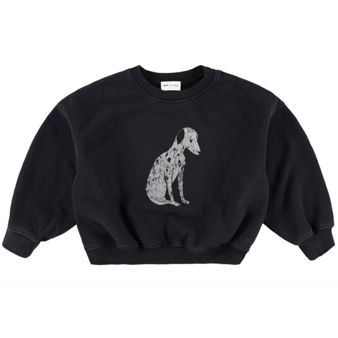 Zaragoza Dalmatian Sweat in Bleu