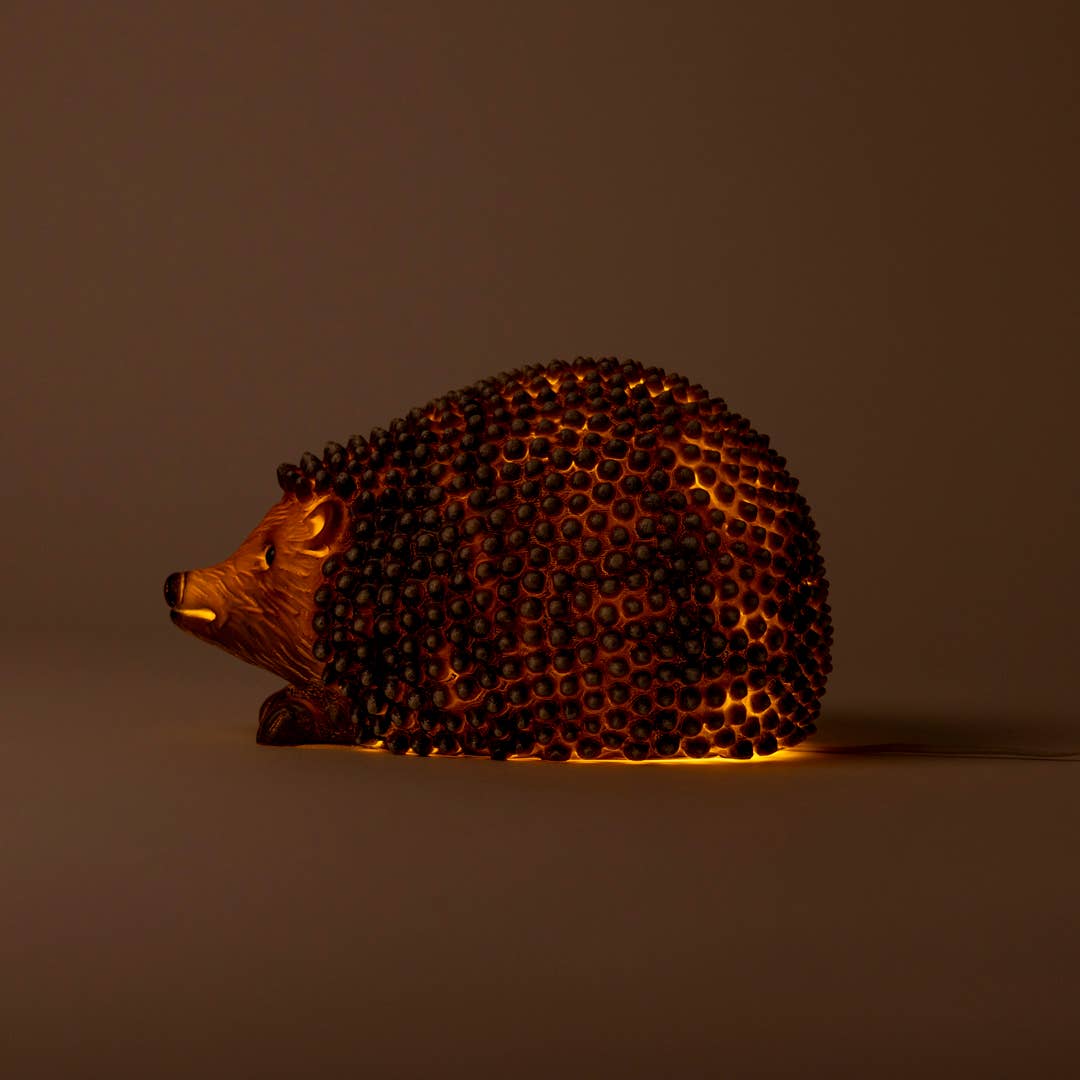 Hedgehog w/ Plug