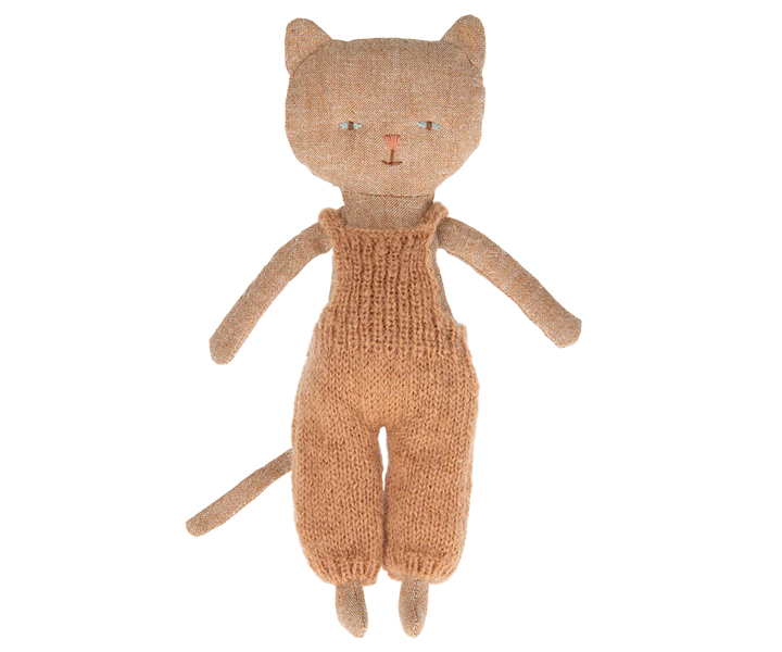 Chatons Kitten in Ginger