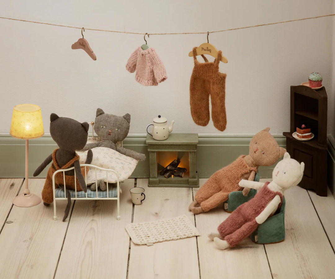 Chatons Kitten in Ginger