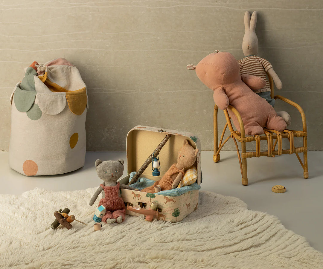 Chatons Kitten in Grey