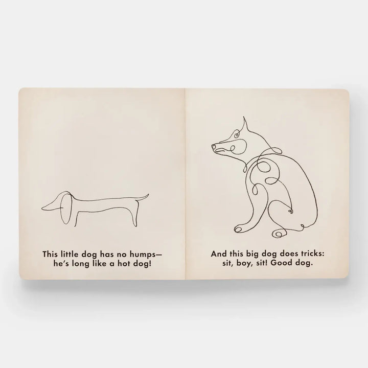 Birds & Other Animals