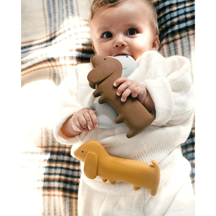 Gommu Mini Dog Teether - Choco