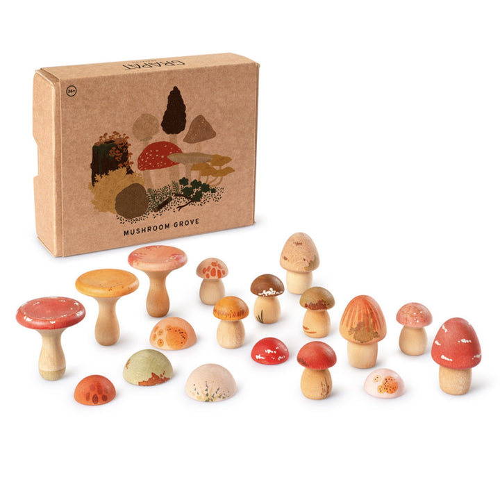 Mushroom Play Set